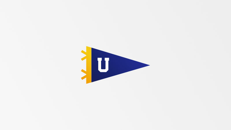 university-flag-800x450 Illustration of a university flag.